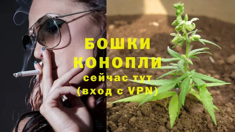 Шишки марихуана THC 21%  наркота  Кирсанов 